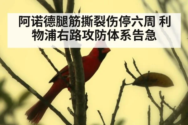 阿诺德腿筋撕裂伤停六周 利物浦右路攻防体系告急